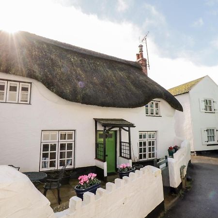 Teign Cottage Teignmouth Bagian luar foto